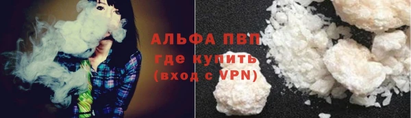 сатива Абаза