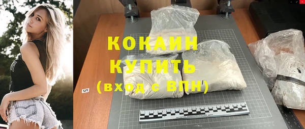 сатива Абаза