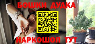 прущие грибы Новодвинск
