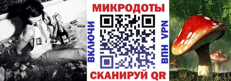 Псилоцибиновые грибы мицелий  Сальск 